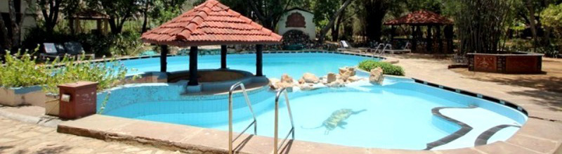 Tiger Moon Resort
